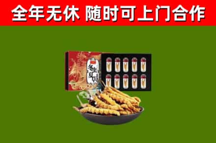 新会回收冬虫夏草价格