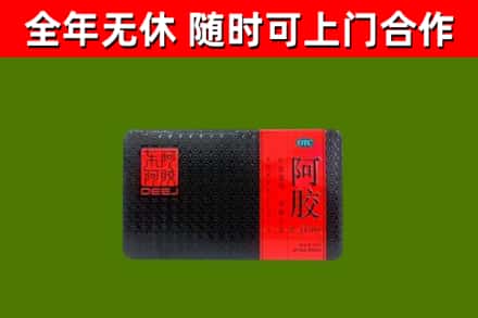 新会回收阿胶
