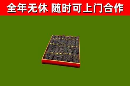 新会回收海参